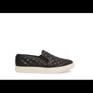 Steve Madden Ecentrcq black slip on sneakers